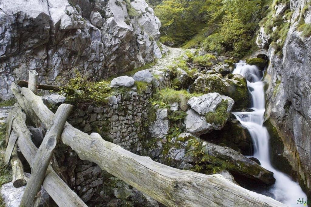 Los Molinos - Atico En Montana De Asturias Felechosa Eksteriør bilde