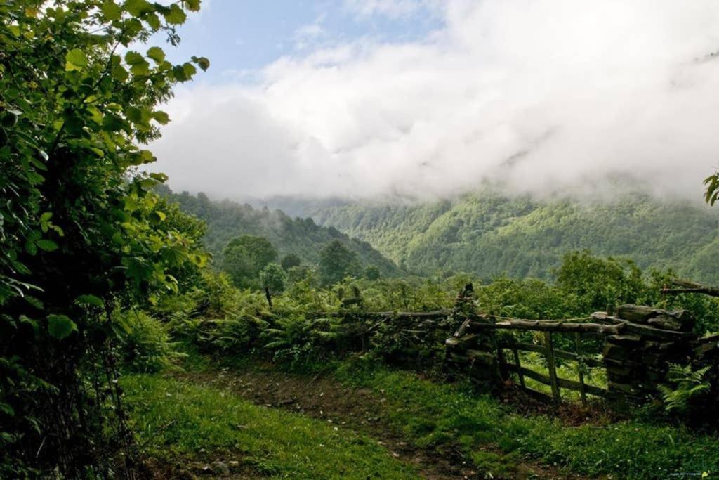 Los Molinos - Atico En Montana De Asturias Felechosa Eksteriør bilde