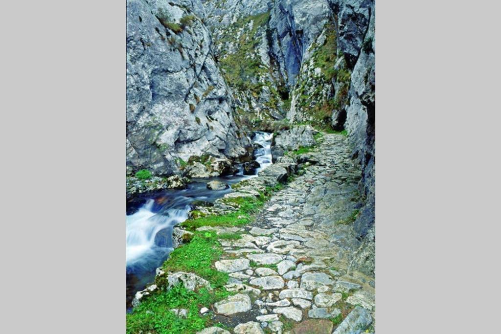 Los Molinos - Atico En Montana De Asturias Felechosa Eksteriør bilde