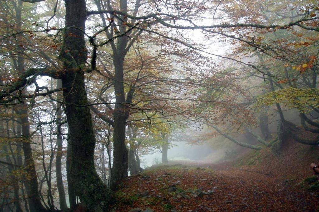 Los Molinos - Atico En Montana De Asturias Felechosa Eksteriør bilde