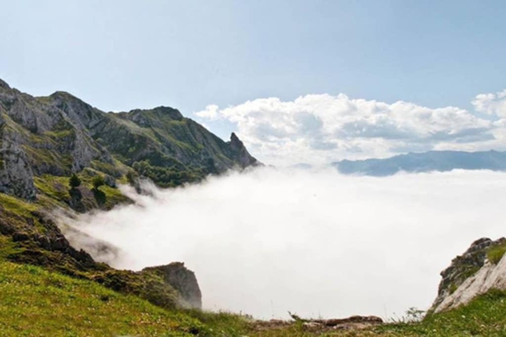 Los Molinos - Atico En Montana De Asturias Felechosa Eksteriør bilde