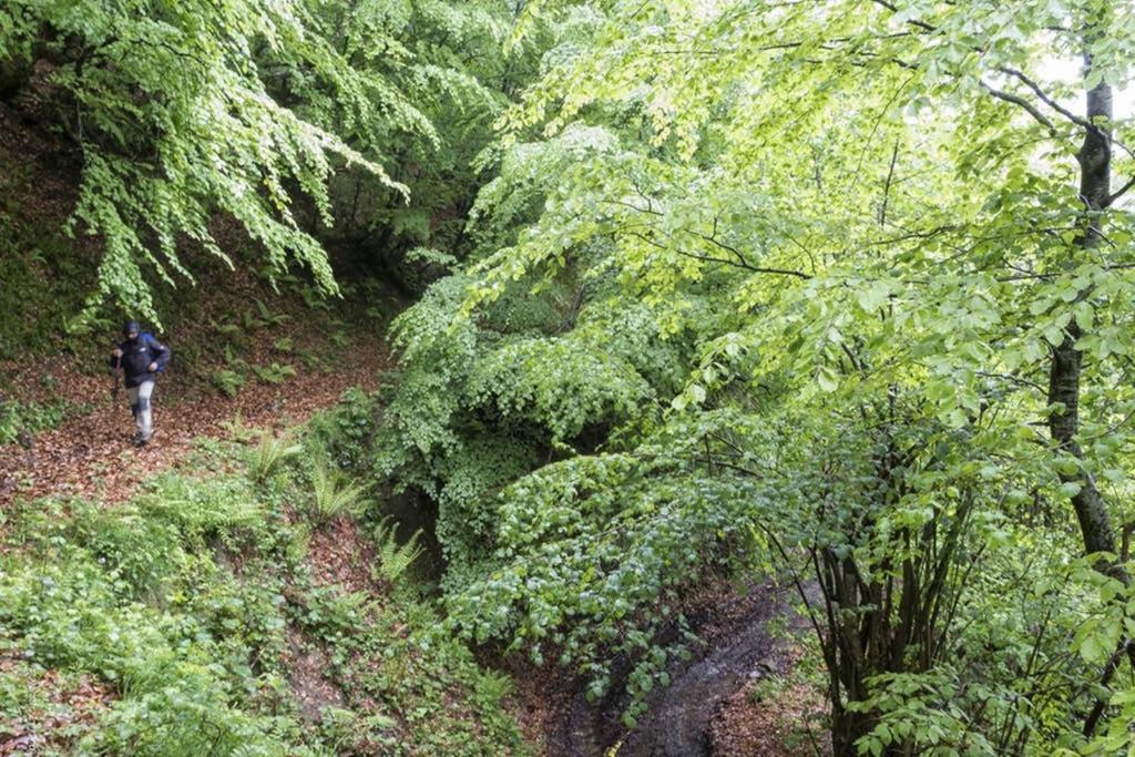 Los Molinos - Atico En Montana De Asturias Felechosa Eksteriør bilde